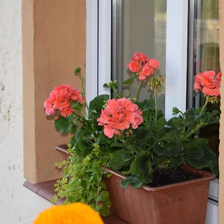 Zalesiowy Zakatek Homestay Zalesie (Goldap County)
